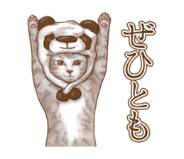 Headgear Cat 2 sticker #8843834