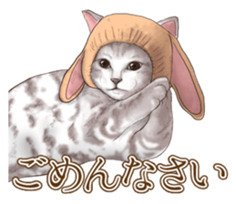 Headgear Cat 2 sticker #8843836