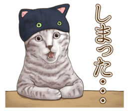Headgear Cat 2 sticker #8843838