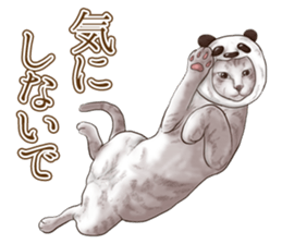 Headgear Cat 2 sticker #8843839