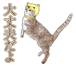 Headgear Cat 2 sticker #8843842