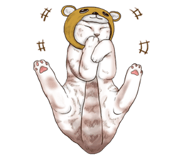 Headgear Cat 2 sticker #8843843