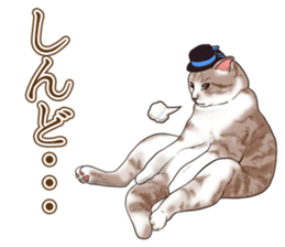 Headgear Cat 2 sticker #8843844