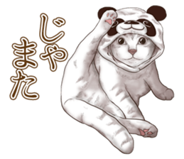 Headgear Cat 2 sticker #8843855