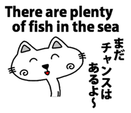 Cat8v6 sticker #8843925