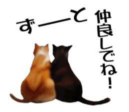 Kitten stamp sticker #8844256