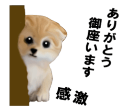 Kitten stamp sticker #8844257