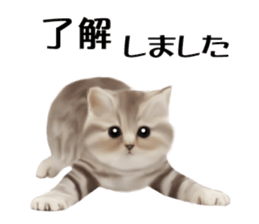 Kitten stamp sticker #8844259