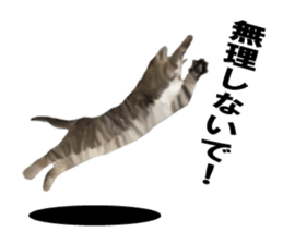 Kitten stamp sticker #8844265