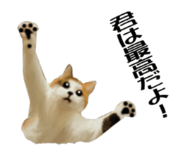 Kitten stamp sticker #8844266