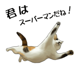 Kitten stamp sticker #8844267