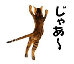 Kitten stamp sticker #8844268