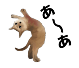 Kitten stamp sticker #8844270