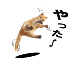 Kitten stamp sticker #8844271