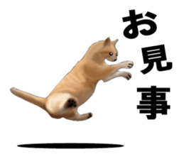 Kitten stamp sticker #8844272