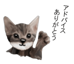 Kitten stamp sticker #8844277