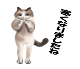 Kitten stamp sticker #8844284
