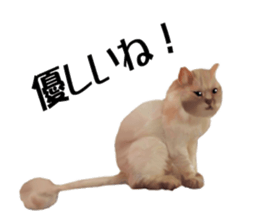 Kitten stamp sticker #8844287