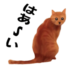 Kitten stamp sticker #8844288
