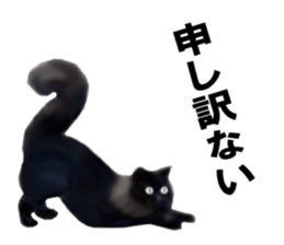 Kitten stamp sticker #8844290