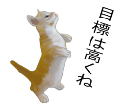 Kitten stamp sticker #8844293