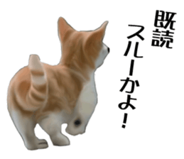 Kitten stamp sticker #8844294