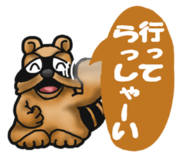 Daily bulging eyes raccoon dog 2 sticker #8851989