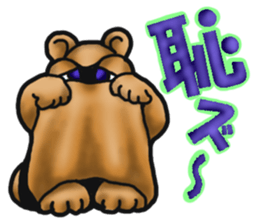 Daily bulging eyes raccoon dog 2 sticker #8852019