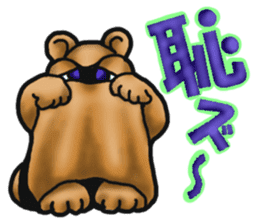 Daily bulging eyes raccoon dog 2 sticker #8852019