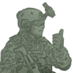 military sticker4