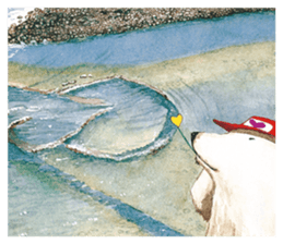 the polarbear around the world sticker #8859805