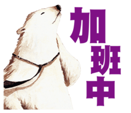 the polarbear around the world sticker #8859814