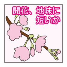 palindrome - From front to back - sticker #8863568