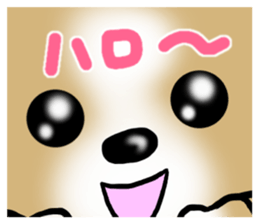 Dog Message Chihuahua sticker #8868976