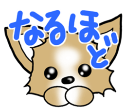 Dog Message Chihuahua sticker #8868978