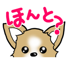 Dog Message Chihuahua sticker #8868979