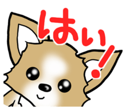 Dog Message Chihuahua sticker #8868980