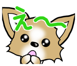 Dog Message Chihuahua sticker #8868986