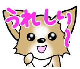 Dog Message Chihuahua sticker #8868987