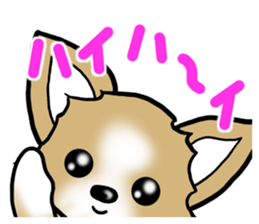 Dog Message Chihuahua sticker #8868989