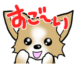Dog Message Chihuahua sticker #8868990