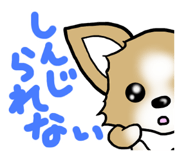 Dog Message Chihuahua sticker #8868992