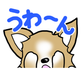 Dog Message Chihuahua sticker #8868997