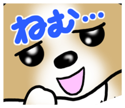Dog Message Chihuahua sticker #8869004