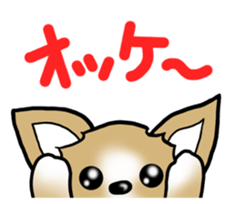 Dog Message Chihuahua sticker #8869007