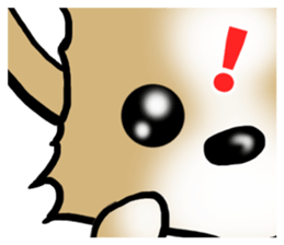 Dog Message Chihuahua sticker #8869010