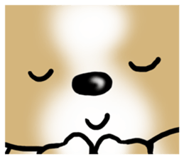 Dog Message Chihuahua sticker #8869012