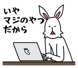 funny rabbit funny 3 sticker #8869461
