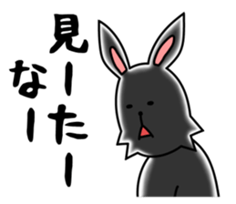 funny rabbit funny 3 sticker #8869463