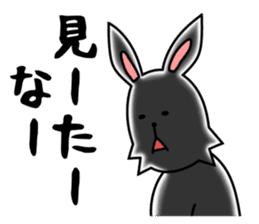 funny rabbit funny 3 sticker #8869463